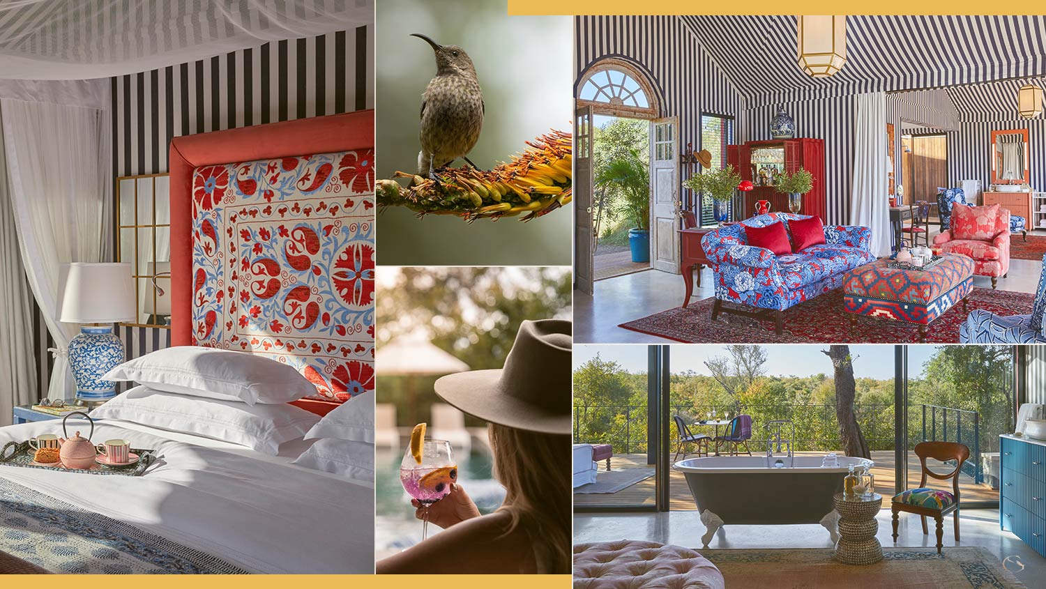 Guided Safaris® Masiya’s Camp at Royal Malewane • LuxurySafariCamps.com