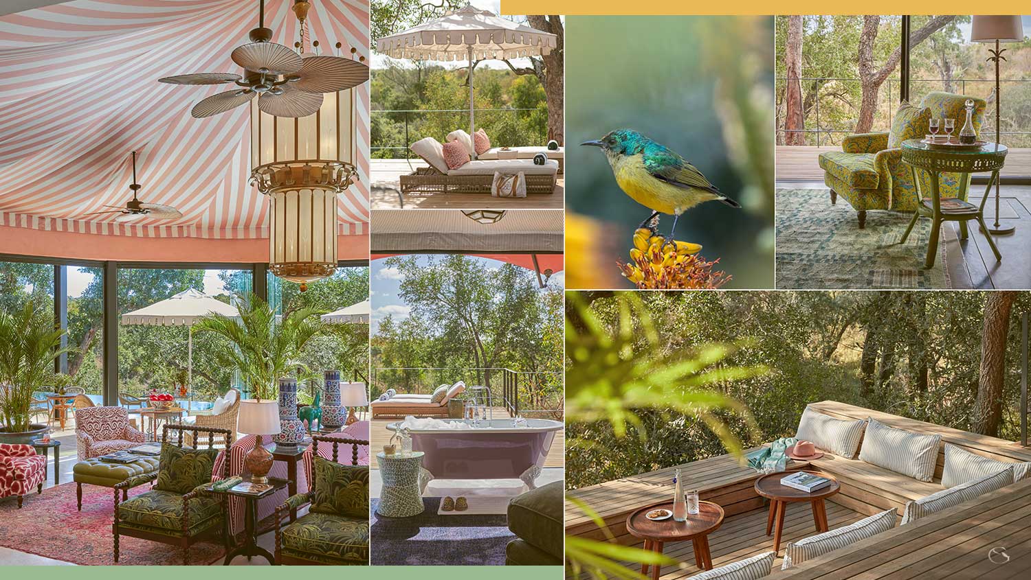 Guided Safaris® Masiya’s Camp at Royal Malewane • LuxurySafariCamps.com