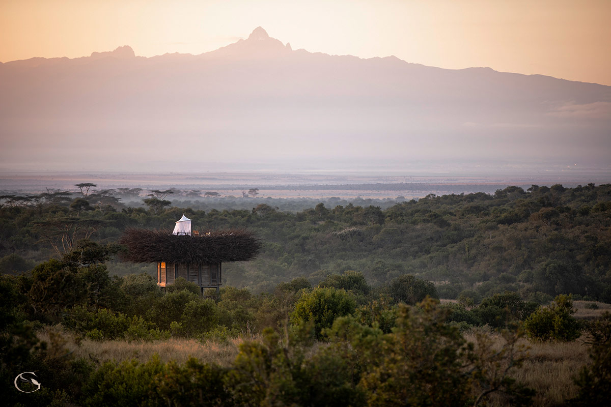Guided Safaris® Segera Retreat, Kenya