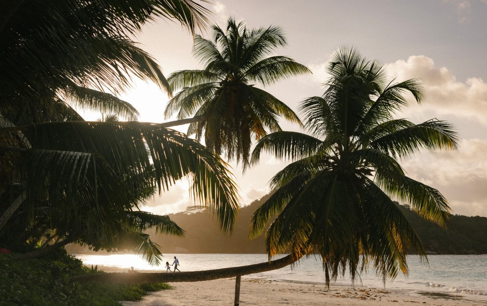 Sunset through the palms on Praslin, Seychelles LuxurySafariLodges.com