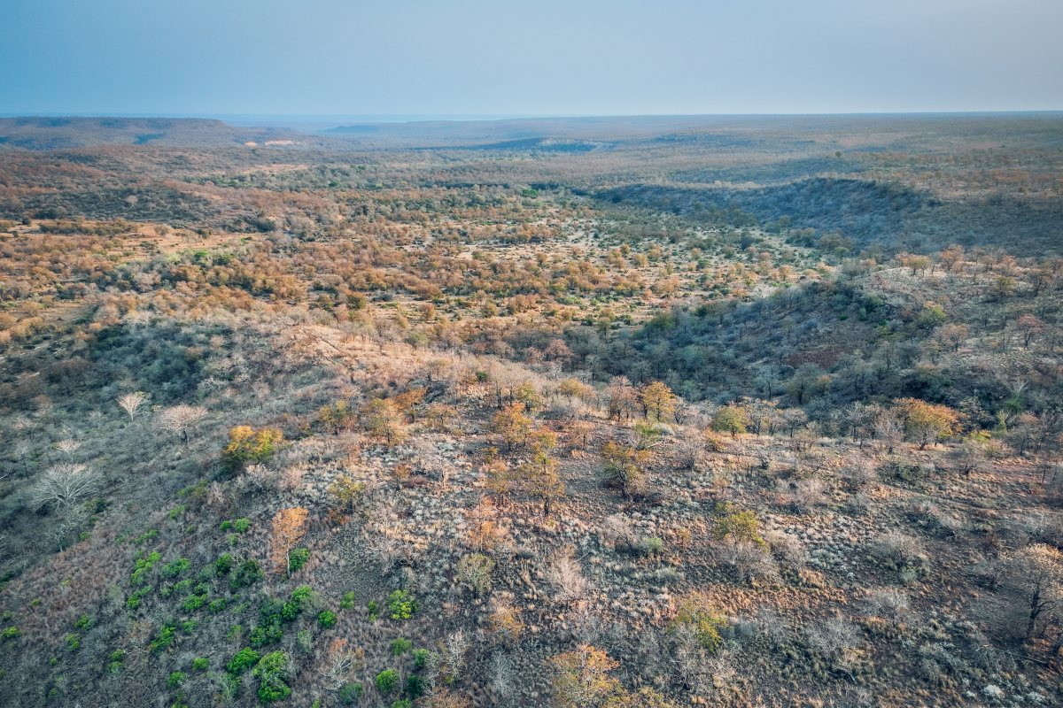 Aerial view of the woodland and savanna around Aman Karingani, Mozambique