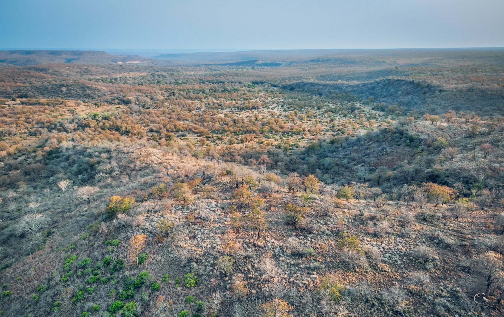 Woodland and savanna across the Karingani Game Reserve, Mozambique LuxurySafariLodges.com