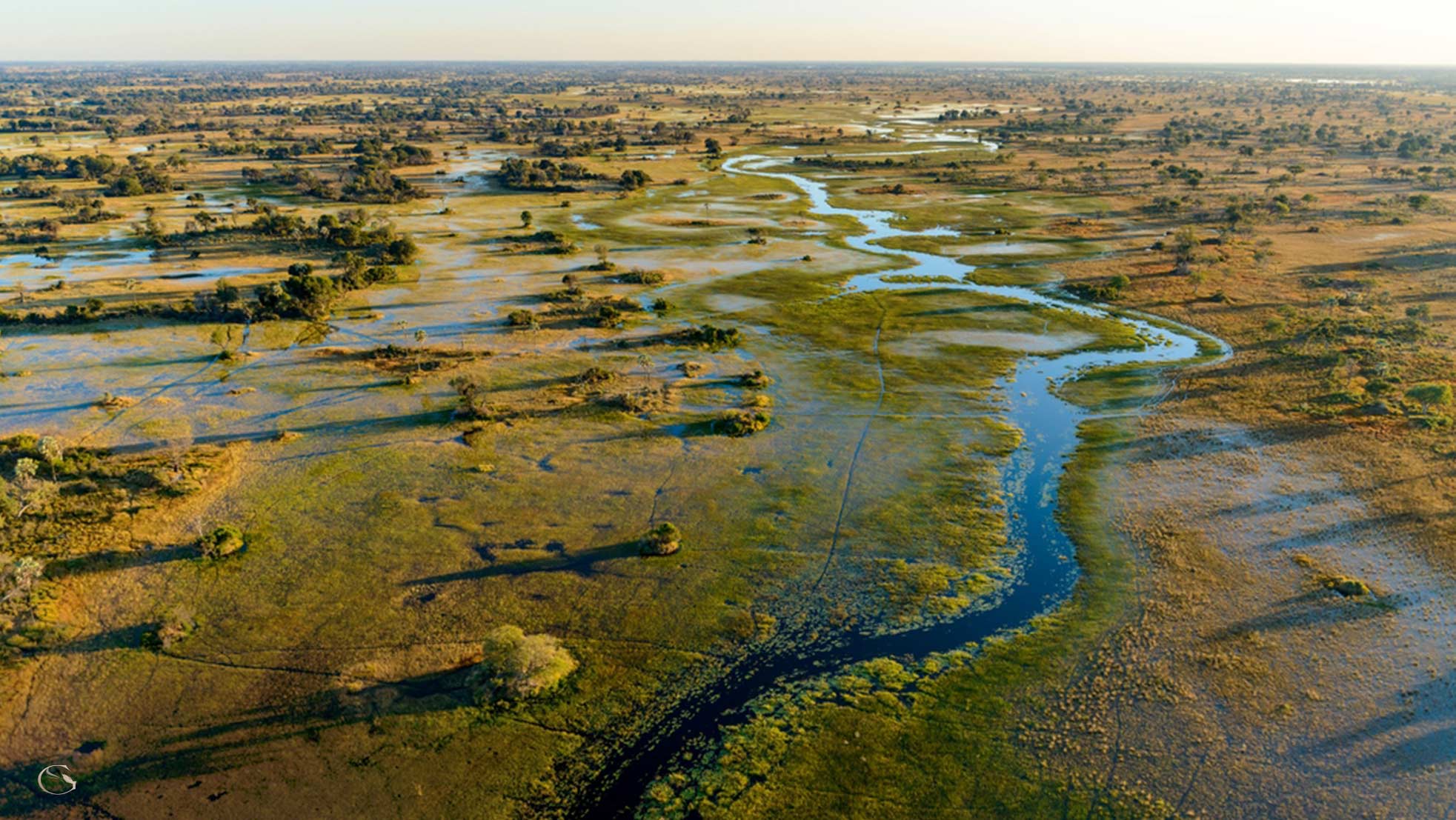 Singita Elela • Singita Botswana • LuxurySafariCamps.com