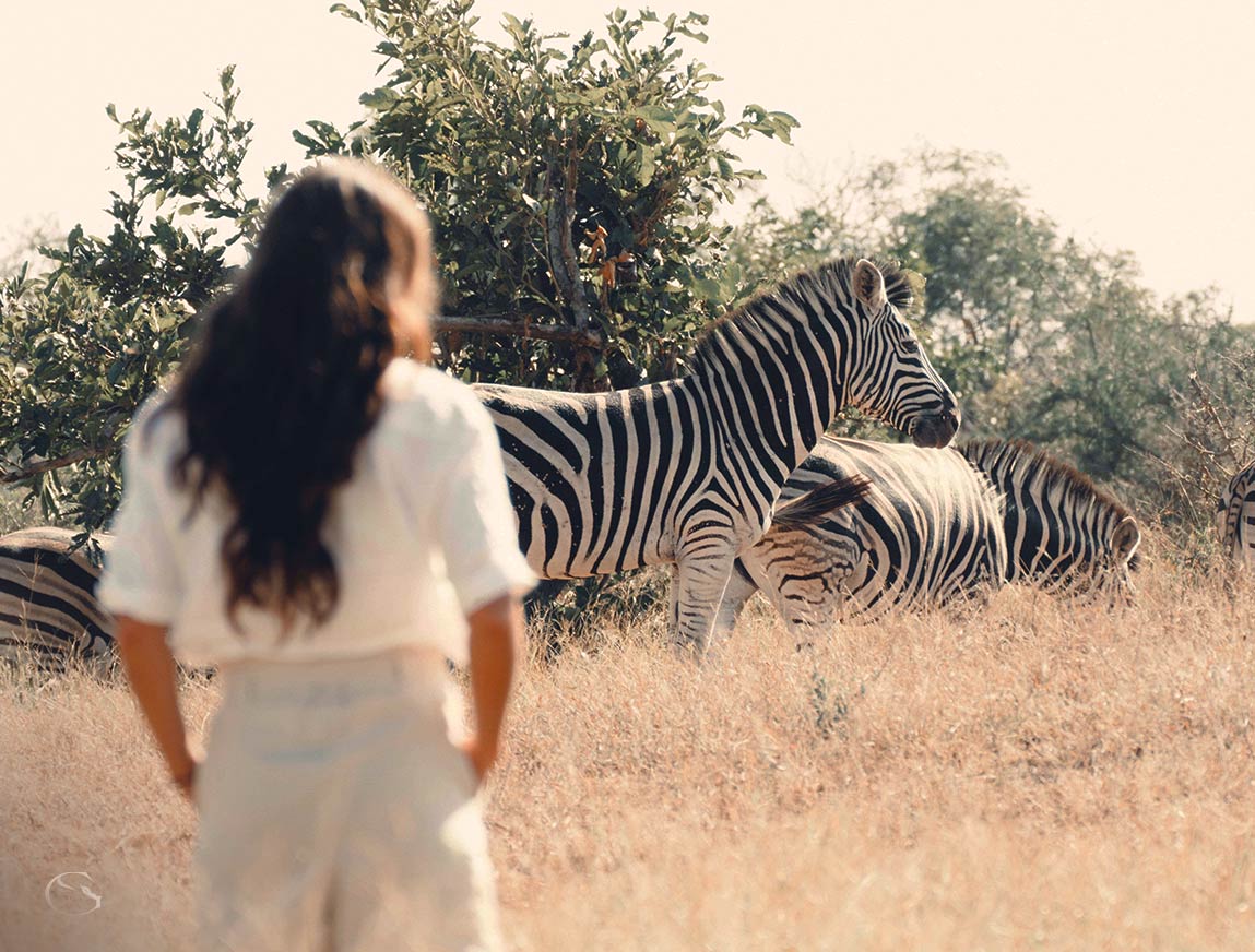 Africa House Private Villa at Royal Malewane Guided Safaris® LuxurySafariLodges.com