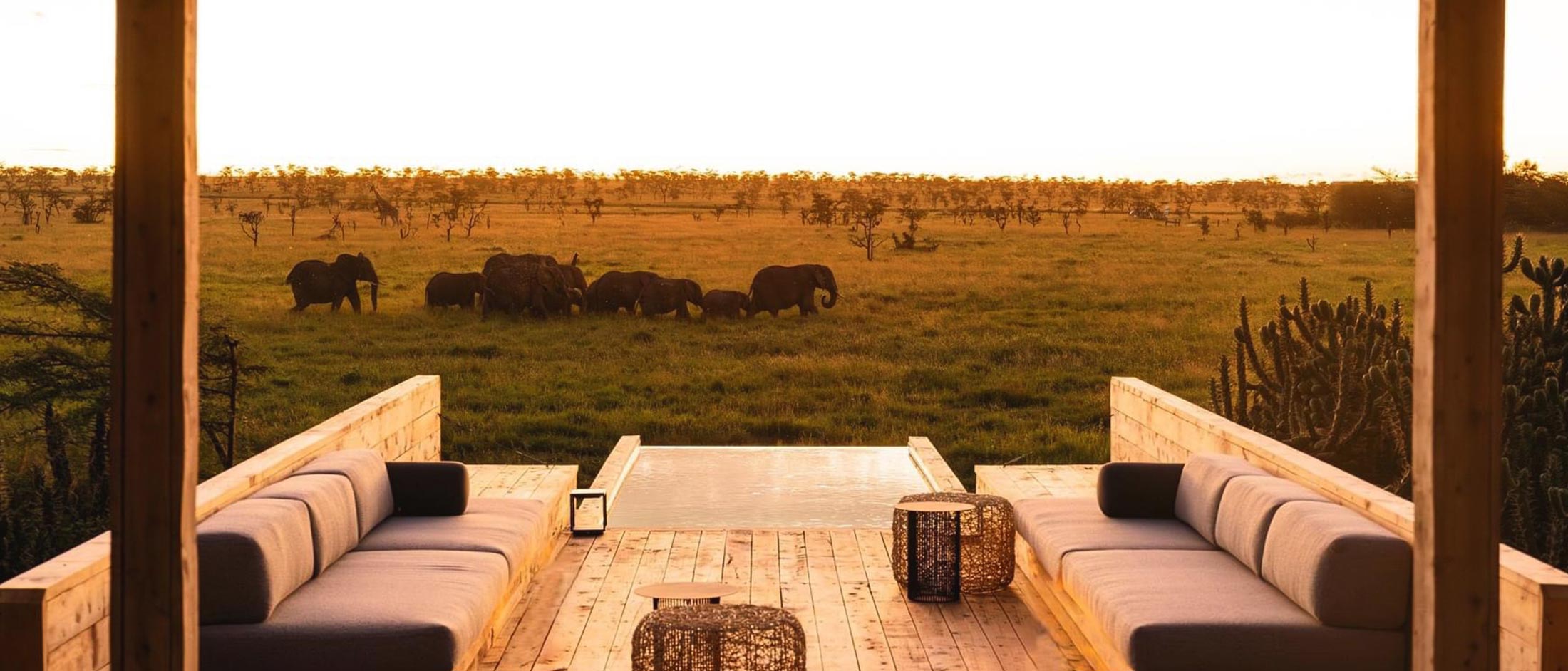 Segera Retreat · Laikipia