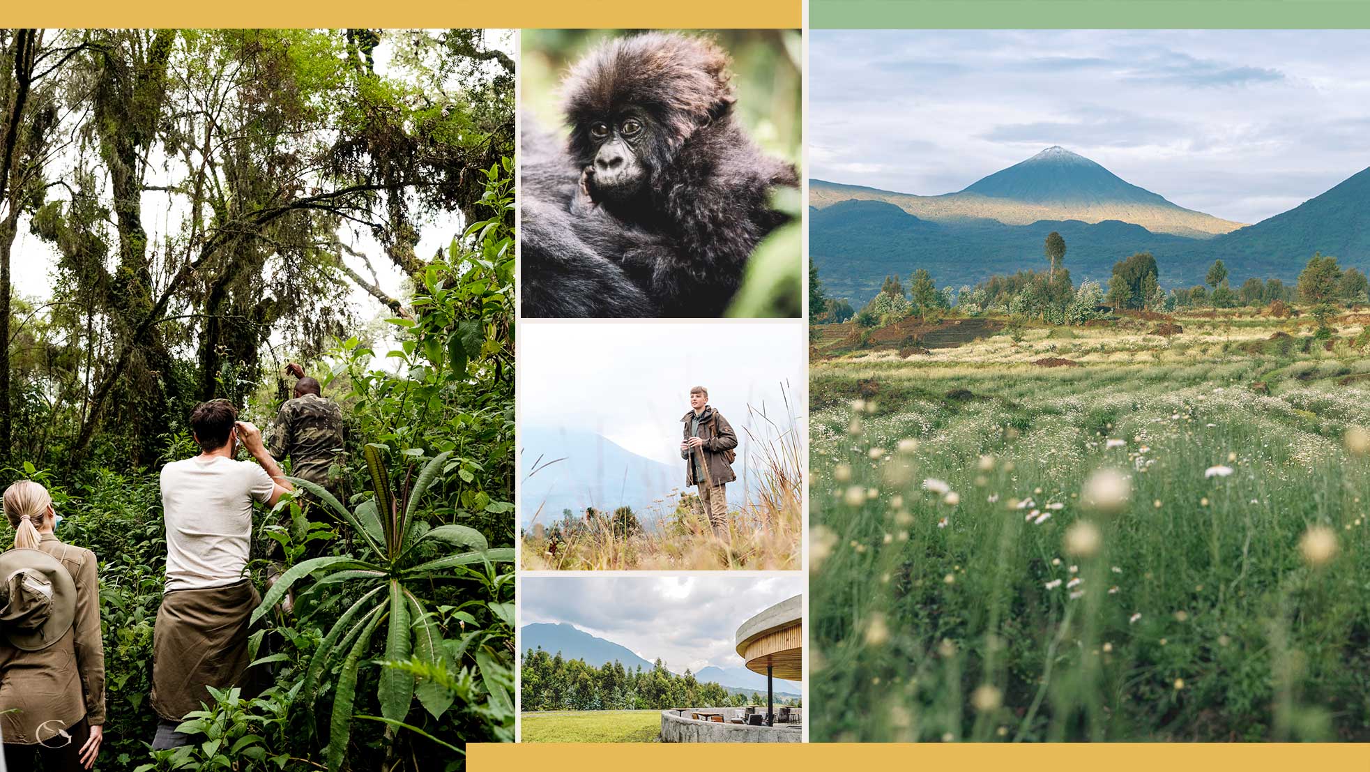 Guided Safaris® Bisate Gorilla Safari LuxurySafariLodges.com