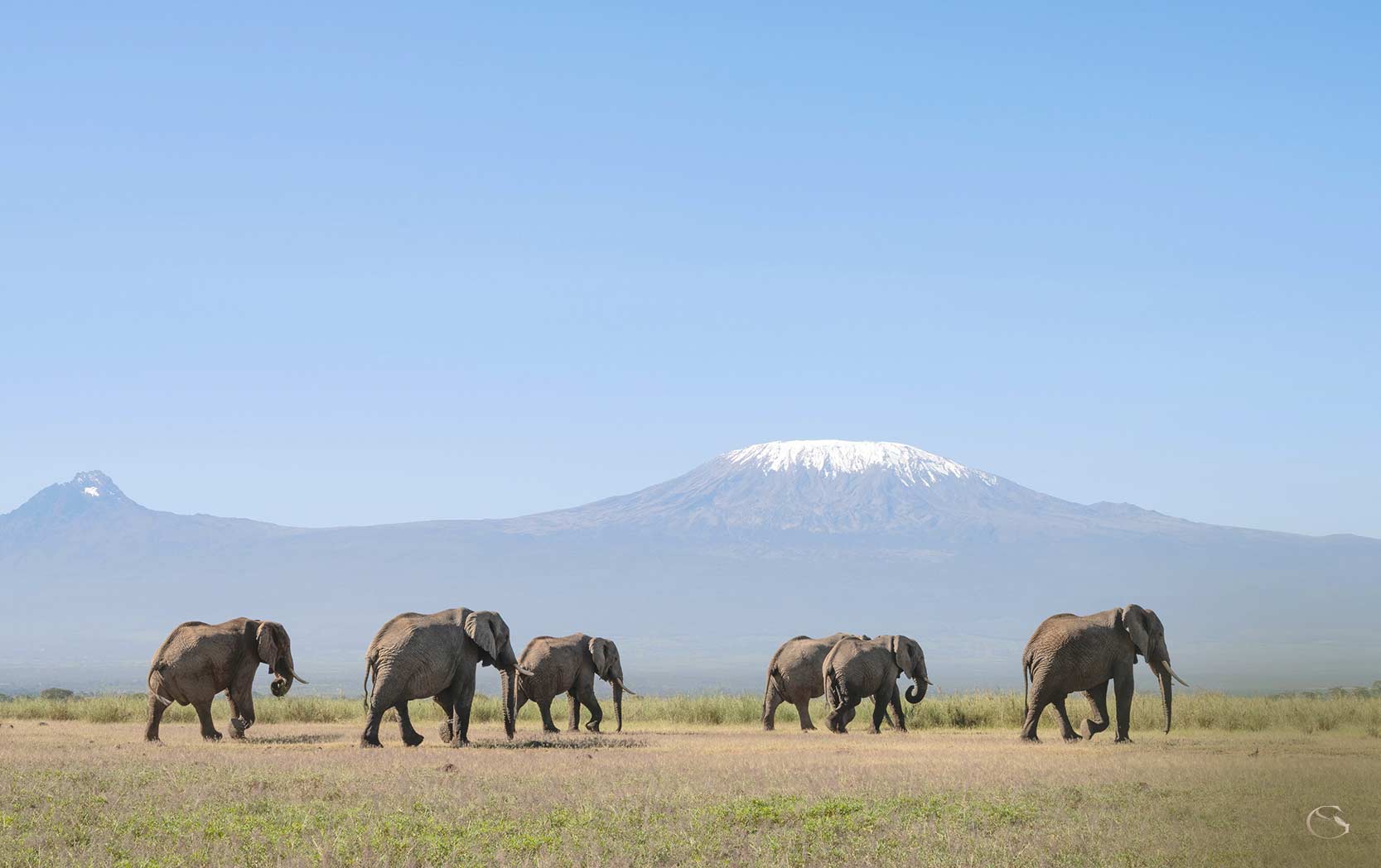 Angama Amboseli