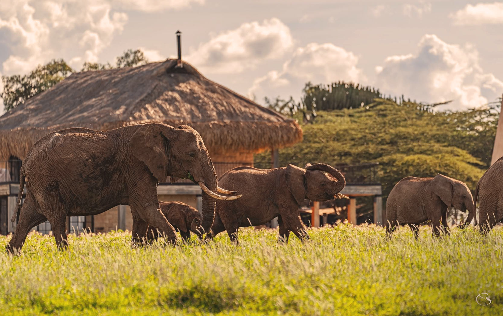 Segera Retreat Kenya LuxurySafariLodges.com
