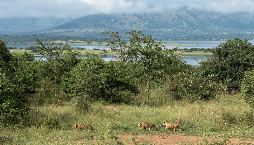 Wilderness Magashi Peninsula