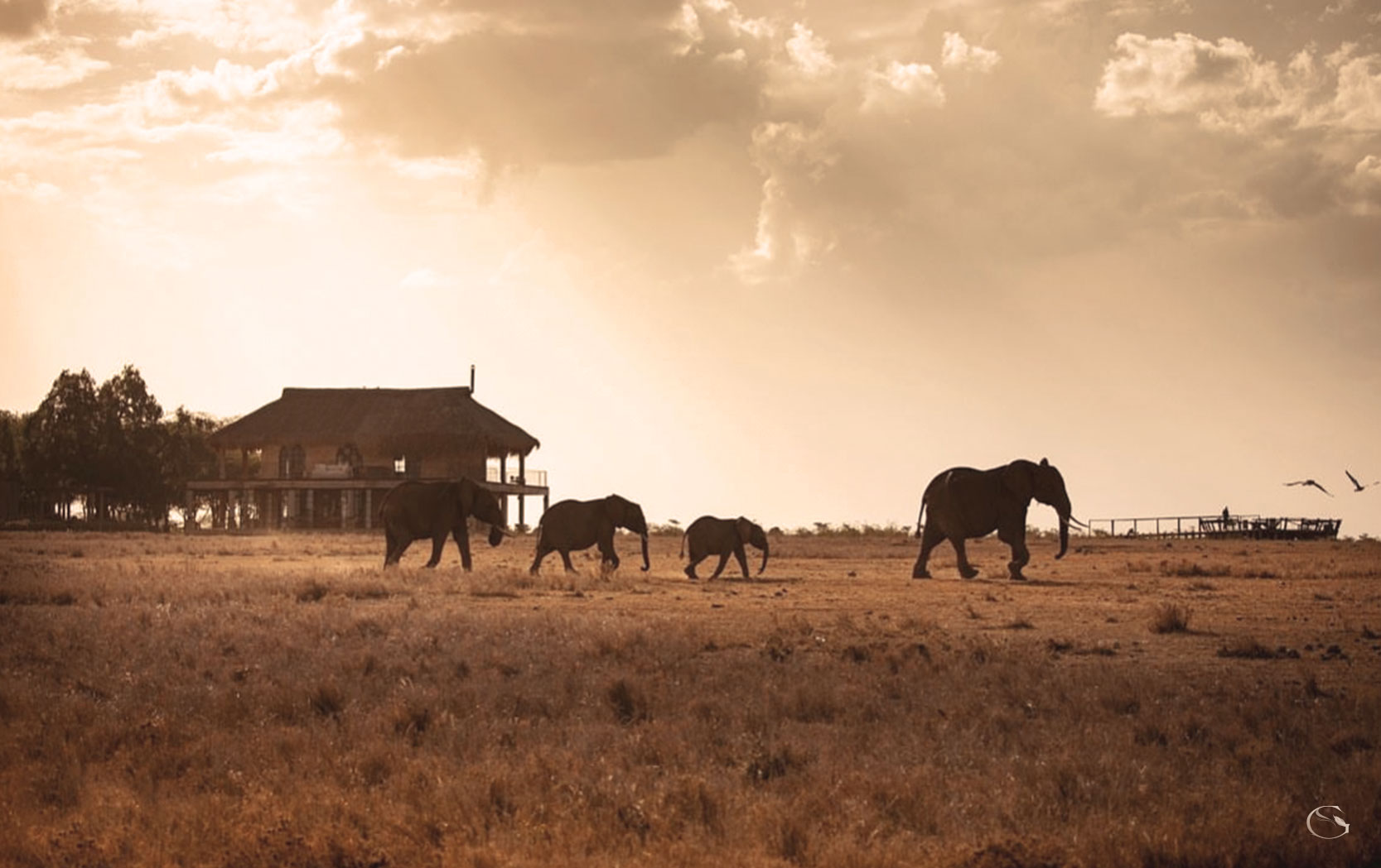 Segera Retreat Kenya LuxurySafariLodges.com
