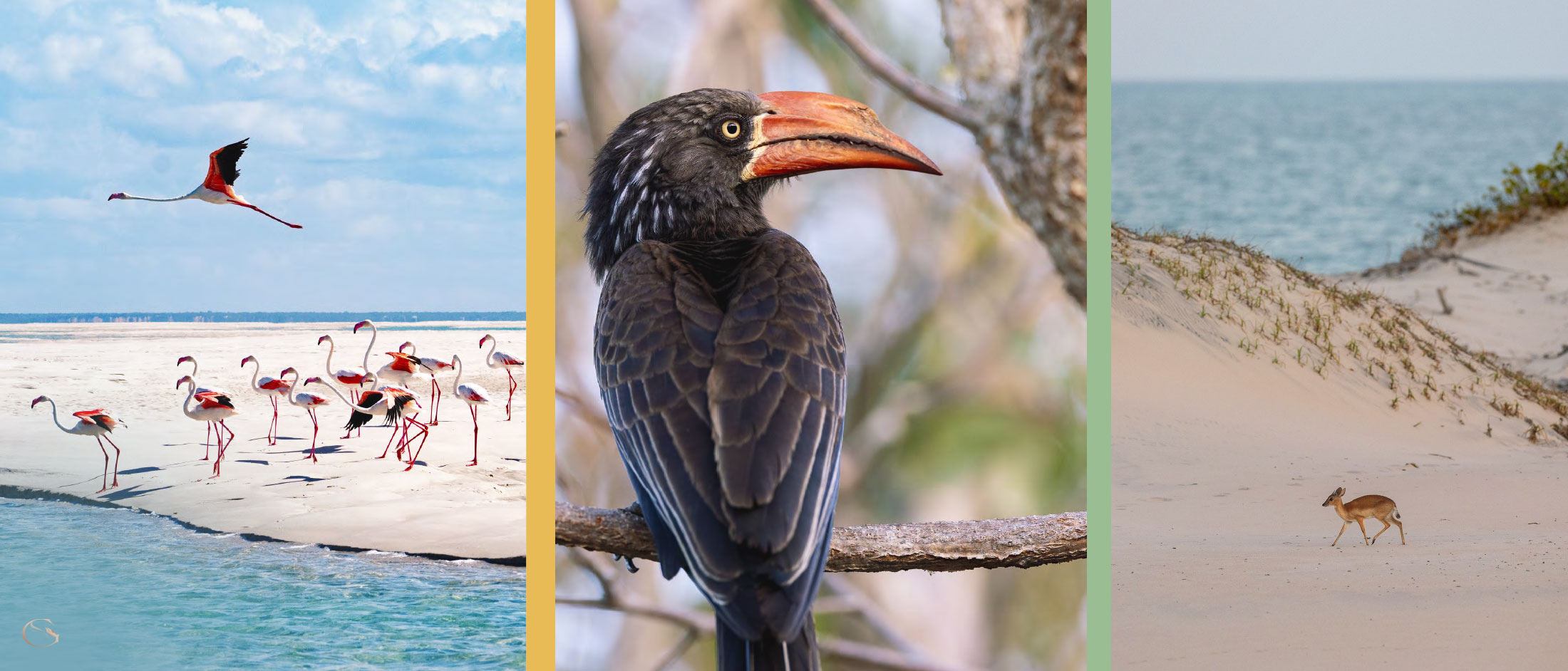 Kisawa Mozambique LuxurySafariLodges.com