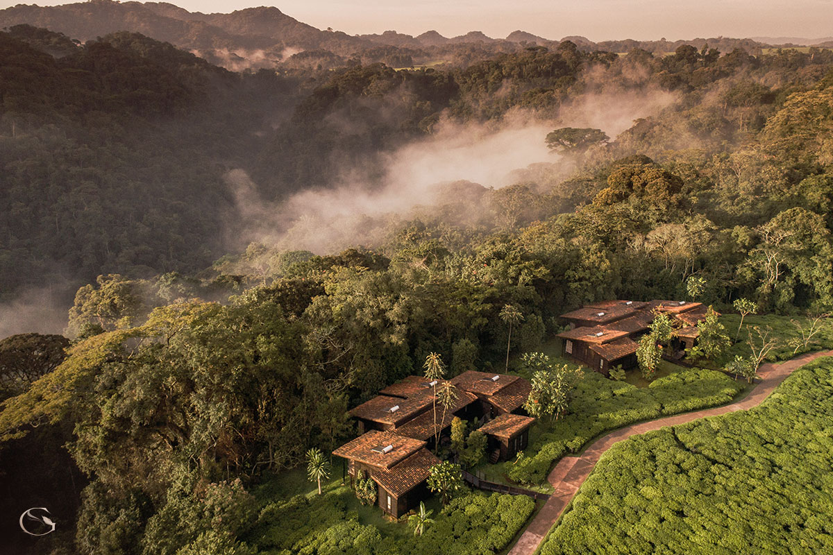One&Only Nyungwe House LuxurySafariLodges.com