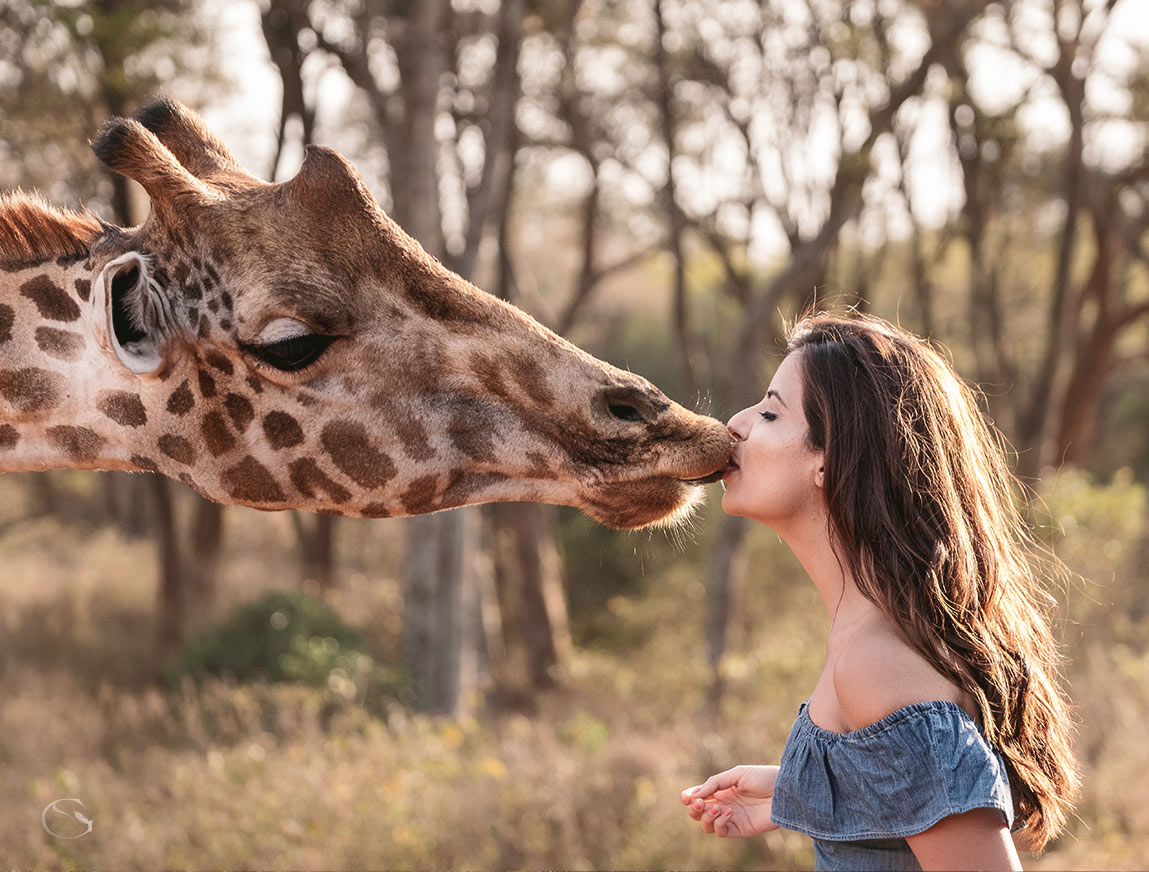 Giraffe Manor Nairobi Kenya LuxurySafariLodges.com