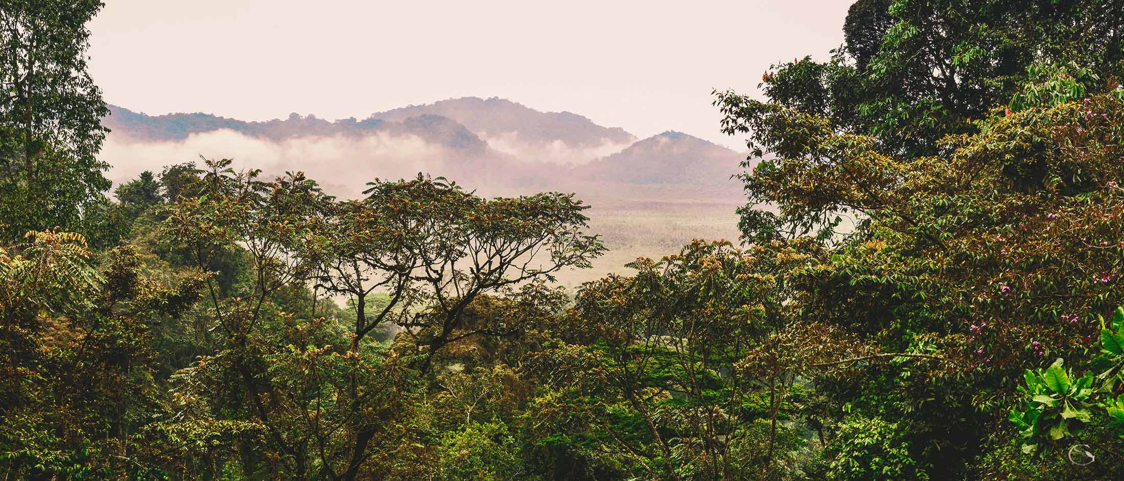 One & Only Nyungwe House Rwanda LuxurySafariLodges.com