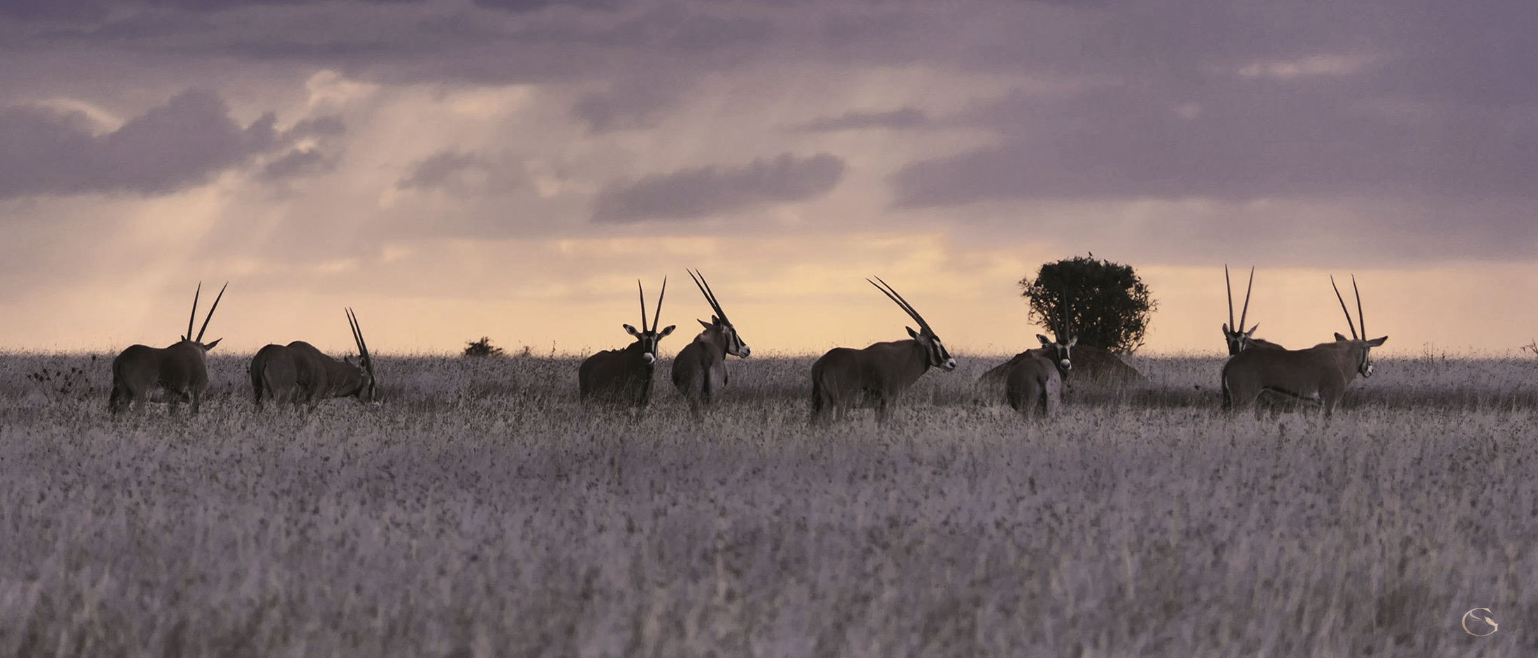 Suyian Lodge Kenya LuxurySafariLodges.com
