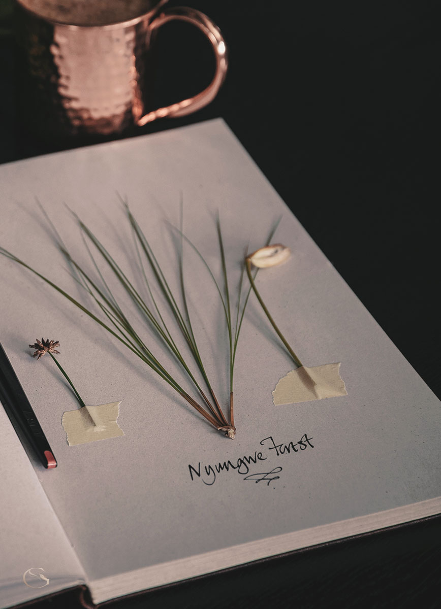 One & Only Nyungwe House Rwanda LuxurySafariLodges.com