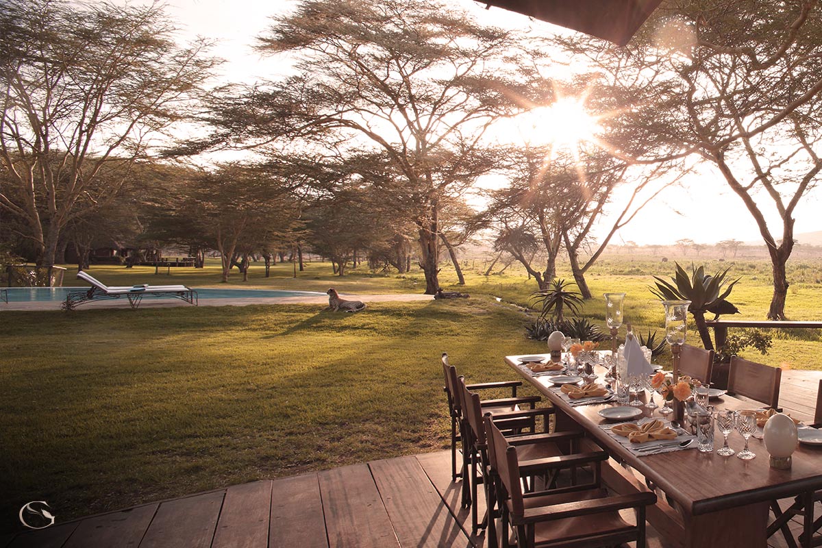 Sirikoi Lodge Kenya LuxurySafariLodges.com