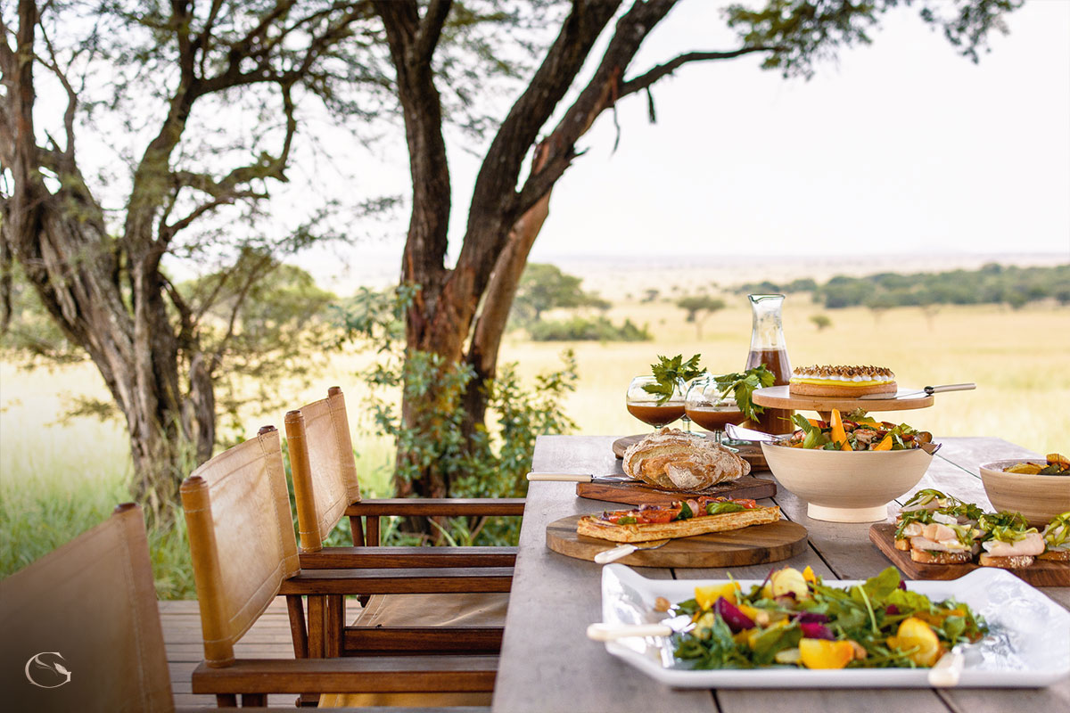 Singita Serengeti House LuxurySafariLodges.com